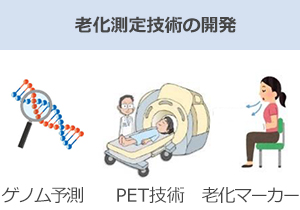 老化測定技術の開発