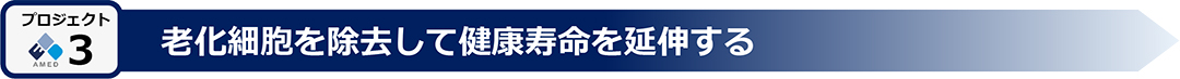 ムーンショット目標７ 炎症誘発細胞除去による100歳を目指した健康寿命延伸医療の実現