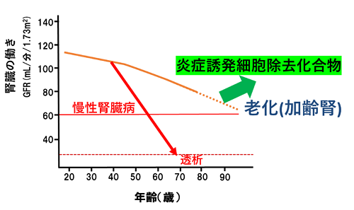 研究内容
