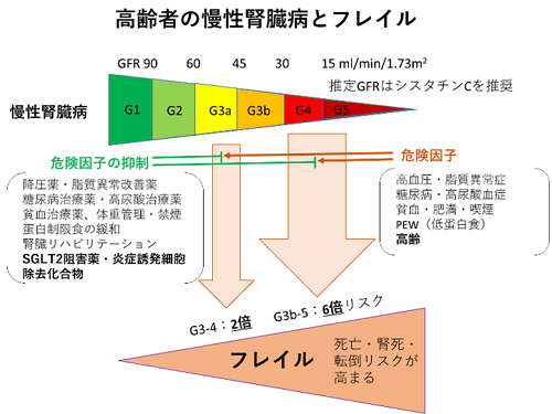 研究内容